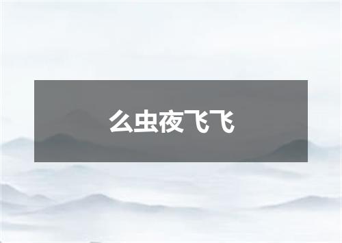 么虫夜飞飞