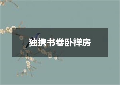 独携书卷卧禅房