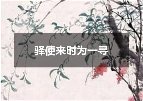 驿使来时为一寻