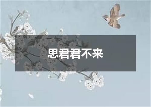 思君君不来