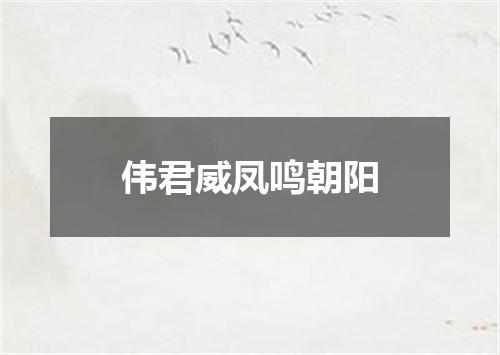 伟君威凤鸣朝阳