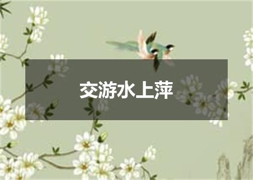 交游水上萍