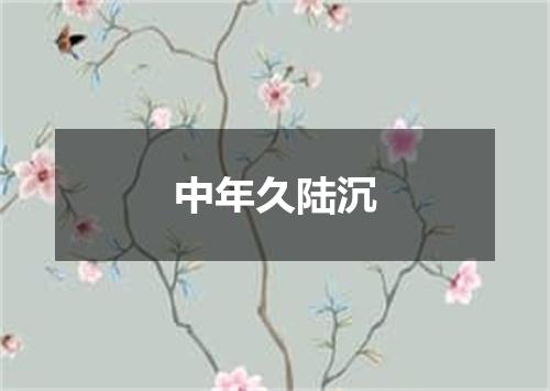 中年久陆沉