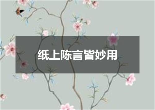纸上陈言皆妙用