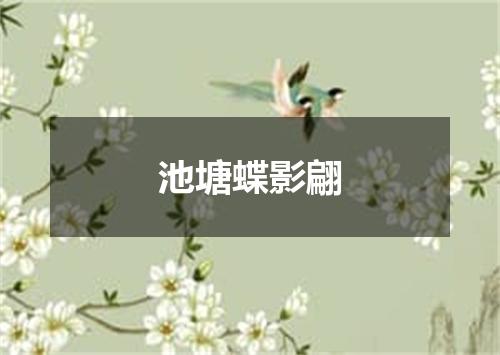 池塘蝶影翩