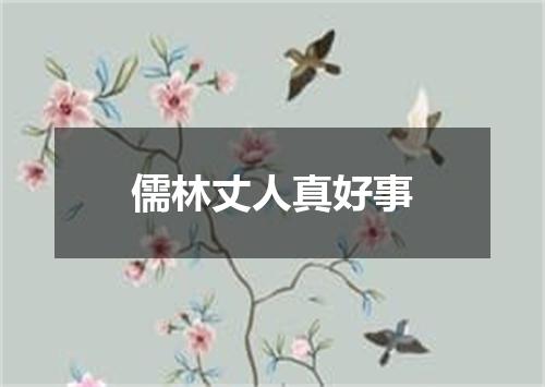 儒林丈人真好事
