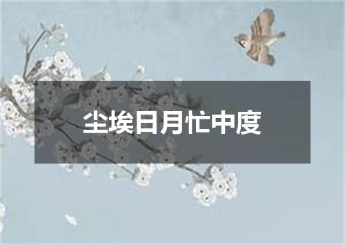 尘埃日月忙中度