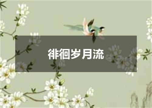徘徊岁月流