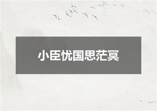 小臣忧国思茫冥