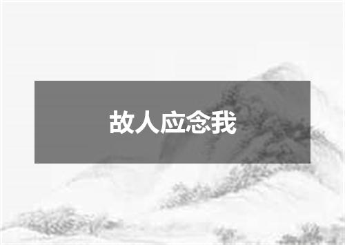 故人应念我