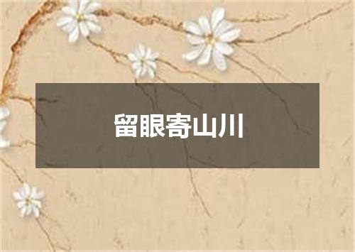 留眼寄山川