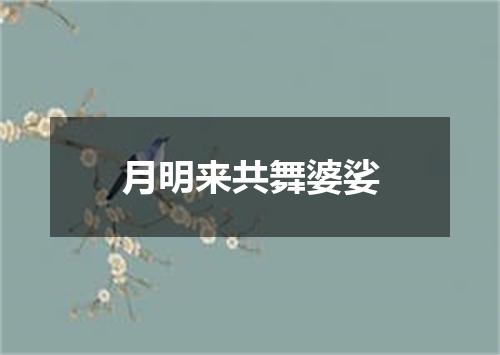 月明来共舞婆娑