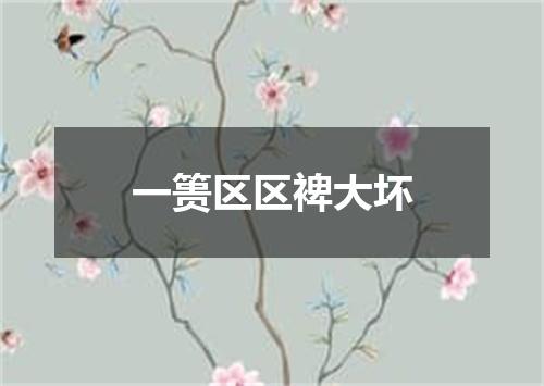 一篑区区裨大坏