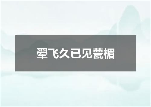 翚飞久已见甍楣