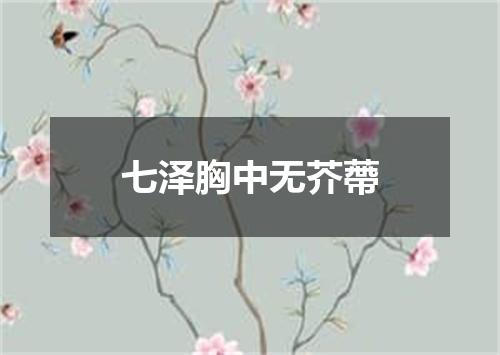 七泽胸中无芥蔕