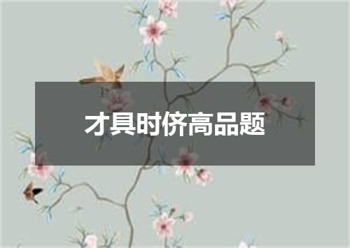 才具时侪高品题