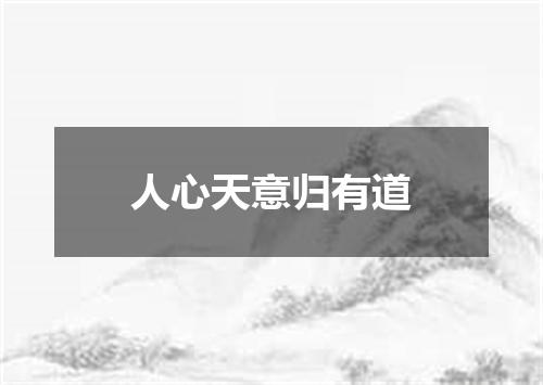 人心天意归有道