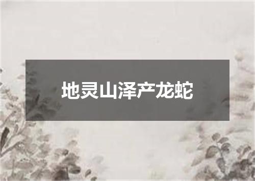 地灵山泽产龙蛇