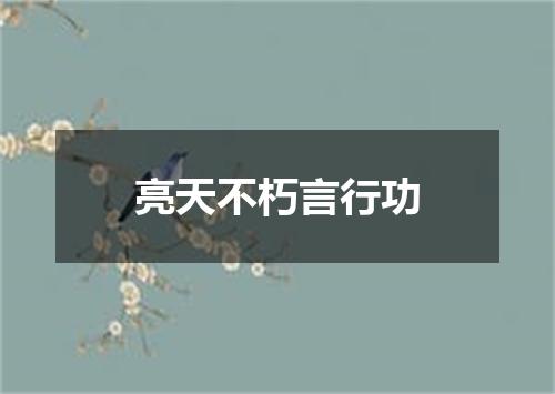 亮天不朽言行功