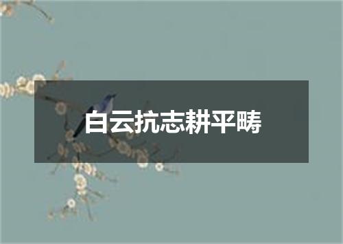 白云抗志耕平畴