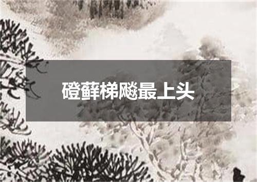 磴藓梯飚最上头