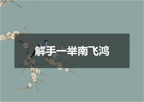 解手一举南飞鸿
