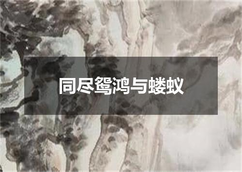 同尽鸳鸿与蝼蚁