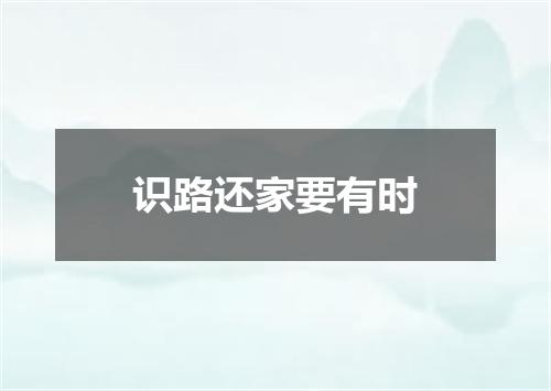 识路还家要有时