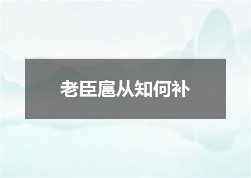 老臣扈从知何补