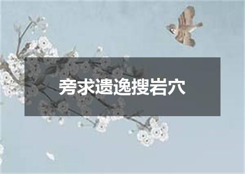 旁求遗逸搜岩穴