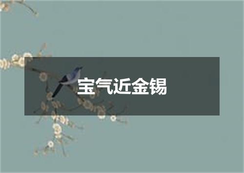 宝气近金锡