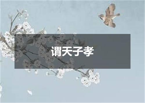 谓天子孝
