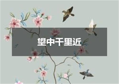 望中千里近