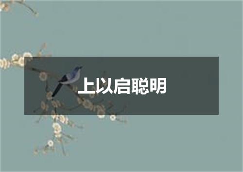 上以启聪明