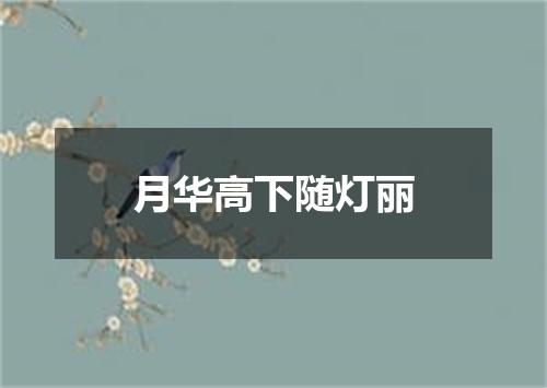 月华高下随灯丽