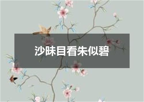 沙昧目看朱似碧