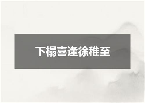 下榻喜逢徐稚至