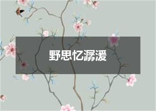 野思忆潺湲