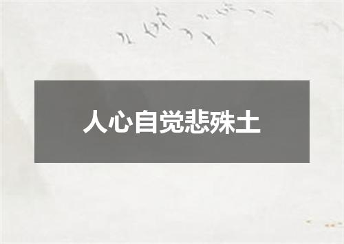 人心自觉悲殊土