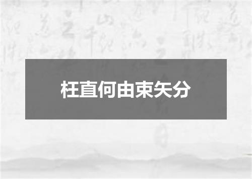 枉直何由束矢分