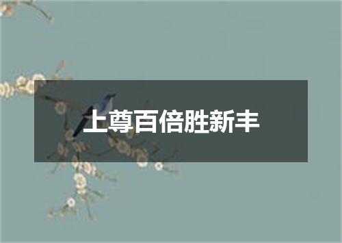 上尊百倍胜新丰