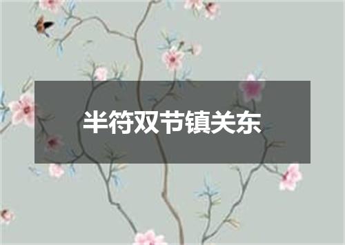 半符双节镇关东