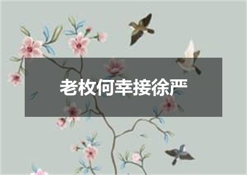 老枚何幸接徐严