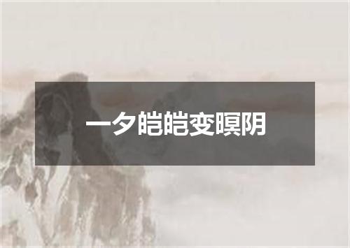 一夕皑皑变暝阴
