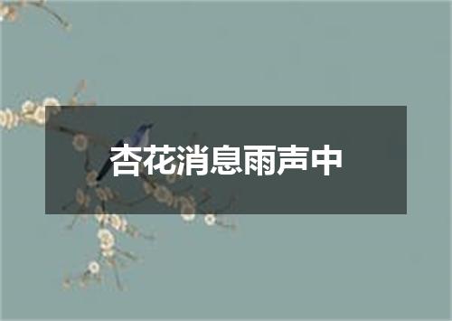 杏花消息雨声中
