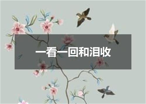 一看一回和泪收
