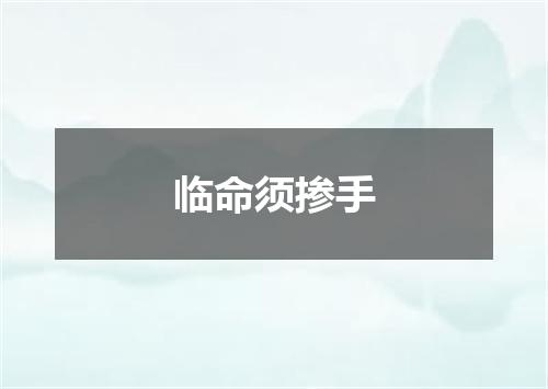 临命须掺手