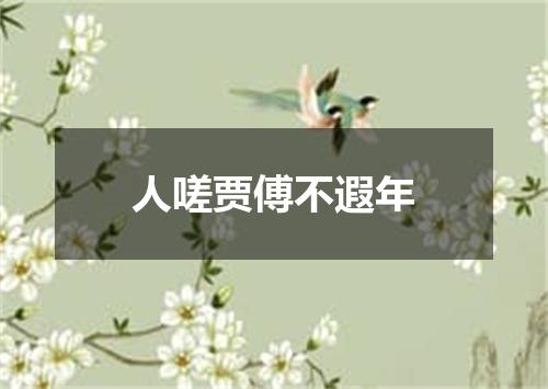 人嗟贾傅不遐年