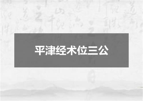 平津经术位三公