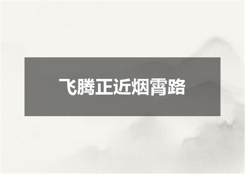 飞腾正近烟霄路